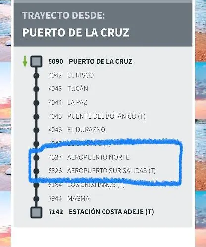 Loft Playa Torviscas,garaje Gratis , Recien Reformado Адехе